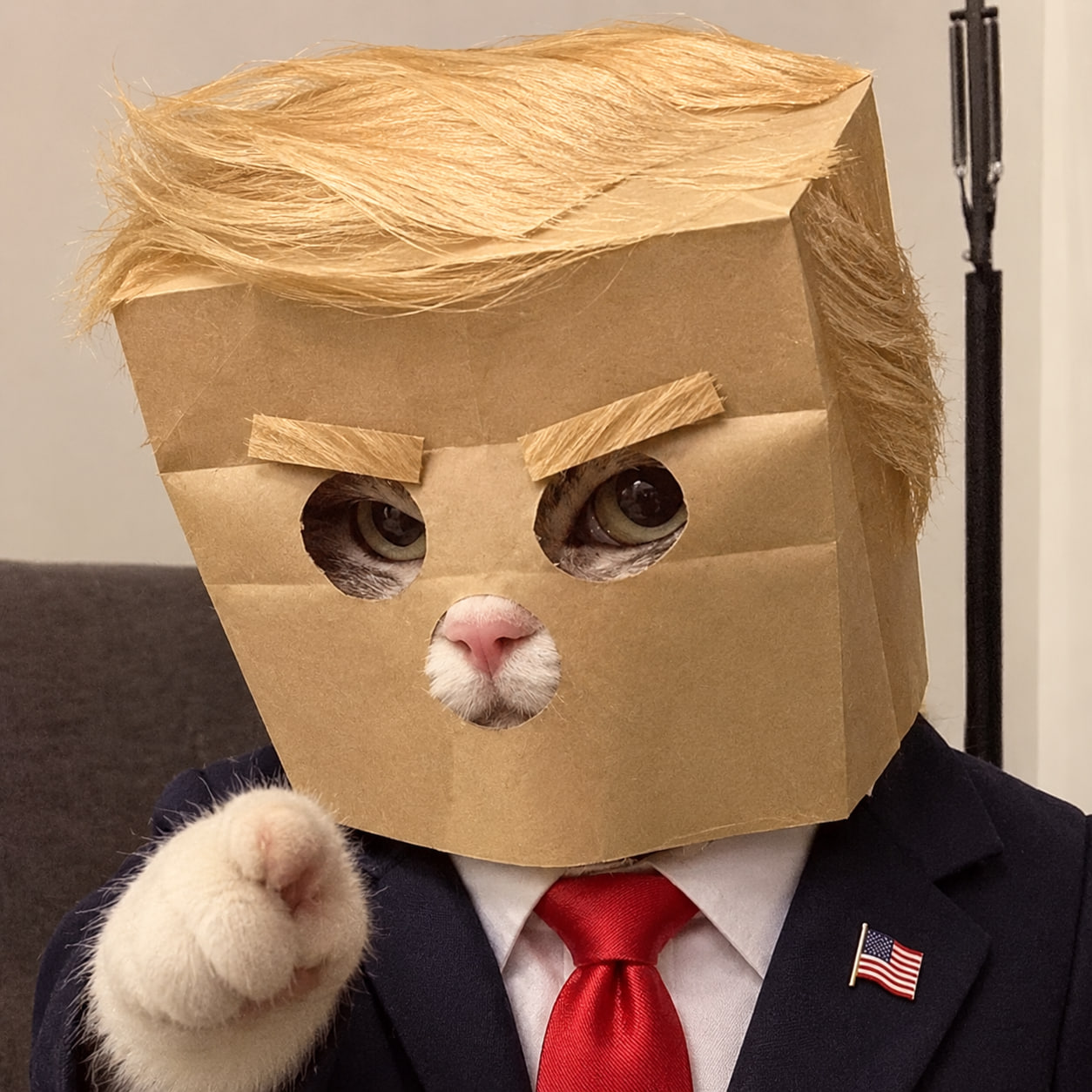 Anonymous Trump wearing a handmade cardboard mask and suit